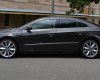 Volkswagen Passat CC 2013 - Volkswagen Passat CC - nhập khẩu chính hãng - Đại lý Volkswagen Saigon - 0933689294