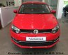 Volkswagen Polo 2015 - Bán Volkswagen Polo đời 2015, nhập khẩu nguyên chiếc, 695 triệu