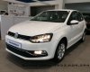 Volkswagen Polo 2016 - Cần bán Volkswagen Polo sản xuất 2016, xe nhập, 695tr