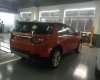 LandRover Evoque Dynamic Autobigraphy 2017 - Bán ô tô LandRover Discovery Sport 2017, đủ màu giao ngay, xe nhập