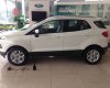 Ford EcoSport Titanium 1.5P AT 2017 - Ford thủ Đô bán xe Ford EcoSport Titanium 1.5P AT sản xuất 2017, nhiều màu, giá tốt nhất tại Thái Nguyên