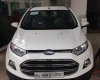 Ford EcoSport Titanium 1.5P AT 2017 - Ford thủ Đô bán xe Ford EcoSport Titanium 1.5P AT sản xuất 2017, nhiều màu, giá tốt nhất tại Thái Nguyên
