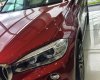 BMW X6 2017 - BMW X6 2017, nhập nguyên chiếc chính hãng, ưu đãi lớn