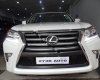Lexus GX460 2013 - Bán Lexus GX460 đời 2013, màu trắng, xe nhập