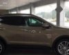 Hyundai Santa Fe   2017 - Bán ô tô Hyundai Santa Fe đời 2017, xe mới, màu nâu