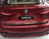BMW X6 2017 - BMW X6 2017, nhập nguyên chiếc chính hãng, ưu đãi lớn