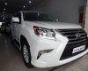 Lexus GX460 2013 - Bán Lexus GX460 đời 2013, màu trắng, xe nhập