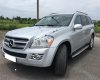 Mercedes-Benz GL 320 2008 - Bán xe Mercedes 320 đời 2008, màu bạc, nhập khẩu nguyên chiếc