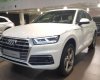 Audi Q5   2.0T 2017 - Bán Audi Q5 2017 máy 2.0 Turbo tăng áp, hộp số tự động 8 cấp cho công suất 230hp