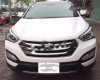 Hyundai Santa Fe   2.2L CRDi  2016 - Bán xe Hyundai Santa Fe 2.2L CRDi 2016, động cơ 2.2 lít CRDi