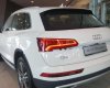 Audi Q5   2.0T 2017 - Bán Audi Q5 2017 máy 2.0 Turbo tăng áp, hộp số tự động 8 cấp cho công suất 230hp