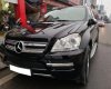 Mercedes-Benz GL 450 2010 - Cần bán gấp Mercedes 450 năm 2010, màu đen, xe nhập
