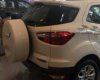 Ford EcoSport   2017 - Bán ô tô Ford EcoSport đời 2017, màu trắng