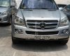 Mercedes-Benz GL-Class 2006 - Bán Mercedes đời 2006, màu bạc, nhập khẩu chính hãng chính chủ