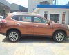 Nissan X trail SV 2017 - Bán xe Nissan X-Trail SV 2017 đủ các màu với giá siêu hấp dẫn 1.040 tr