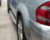 Mercedes-Benz GL-Class 2006 - Bán Mercedes đời 2006, màu bạc, nhập khẩu chính hãng chính chủ