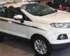 Ford EcoSport   2017 - Bán ô tô Ford EcoSport đời 2017, màu trắng