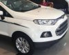 Ford EcoSport   2017 - Bán ô tô Ford EcoSport đời 2017, màu trắng