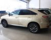 Lexus RX350   2013 - Bán xe Lexus RX350 đời 2013, xe nhập số tự động