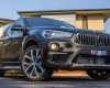 BMW X1 sDrive18i 2017 - BMW X1 sDrive18i 2017, nhập khẩu, ưu đãi sốc, có xe giao ngay