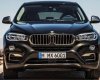 BMW X6 xDrive35i 2017 - Bán BMW X6 xDrive35i đời 2017, màu nâu, xe nhập