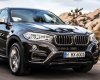 BMW X6 xDrive35i 2017 - Bán BMW X6 xDrive35i đời 2017, màu nâu, xe nhập