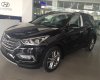 Hyundai Santa Fe 2.4AT 2WD 2017 - Bán xe Hyundai Santa Fe đời 2017 mới 100%, giá tốt, hỗ trợ vay vốn, lãi suất thấp. Liên hệ: 01887177000 Ninh Thuận