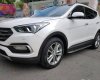 Hyundai Santa Fe 4WD 2016 - Bán xe Hyundai Santa Fe 4WD phiên bản đặc biệt 4WD bản Facelift 2017, động cơ xăng, 1.140 tỷ