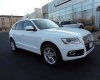 Audi Q5   2017 - Bán Audi Q5 đời 2017, màu trắng, nhập khẩu nguyên chiếc