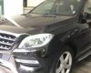 Mercedes-Benz ML Class ML 350 2013 - Bán Mercedes ML350, màu đen, nội thất màu be