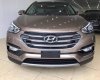 Hyundai Santa Fe 2.4 G 2017 - Bán Hyundai Santa Fe 2.4 xăng, có xe giao ngay, hỗ trợ trả góp: 0961917516