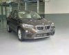 BMW X1   2016 - Cần bán xe BMW X1 sản xuất 2016, mới 100%