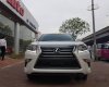 Lexus GX460   2016 - Bán Lexus GX460 sản xuất 2016, đăng ký tên công ty