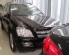 Mercedes-Benz GL 450 4 Matic 2008 - Bán ô tô Mercedes 450 4 Matic năm 2008, màu đen, nhập khẩu nguyên chiếc