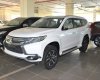 Mitsubishi Pajero Sport 2017 - Cần bán xe Mitsubishi Pajero Sport 2017 nhập khẩu nguyên chiếc, khuyến mãi trong tháng 3/2018 tại Quảng Bình