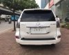 Lexus GX460   2016 - Bán Lexus GX460 sản xuất 2016, đăng ký 2016