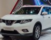 Nissan X trail 2.5 4WD SV 2017 - Bán Nissan X-Trail 2.5 4WD, 2017, giá ưu đãi - LH 0961051102