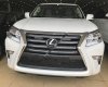 Lexus GX460 2016 - Bán Lexus GX460 phiên bản đù đồ, sản xuất năm 2016, đăng ký 2016, tên công ty xuất hóa đơn VAT