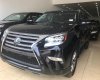 Lexus GX 460 Luxury 2017 - Bán Lexus GX460 Luxury đời 2017, màu đen, nhập khẩu Mỹ, đủ đồ xe giao ngay