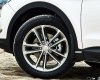 Hyundai Santa Fe 2017 - Bán xe Hyundai Santa Fe sản xuất 2017