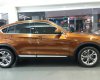 BMW X4 xDrive20i 2016 - Cần bán xe BMW X4 xDrive20i model năm 2017, màu nâu, nhập khẩu, ưu đãi hấp dẫn, có xe giao ngay