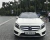 Mercedes-Benz CLA class  250 2015 - Bán Mercedes CLA Class đời 2015, xe chính chủ, nhập nguyên chiếc từ Đức, đăng ký lần đầu tháng 5/2016