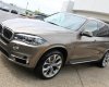 BMW X5 xDrive35i 2016 - Bán BMW X5 xDrive35i năm 2017, nhập khẩu chính hãng