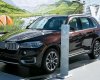 BMW X5 xDrive35i 2016 - Cần bán xe BMW X5 xDrive35i đời 2017, màu nâu, xe nhập, giao xe sớm nhất, giá tốt nhất