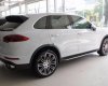 Porsche Cayenne S 2014 - Cần bán xe Porsche Cayenne S đời 2014, màu trắng, nhập khẩu nguyên chiếc