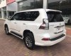 Lexus GX460   2016 - Bán Lexus GX460 sản xuất 2016, đăng ký 2016