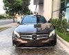 Mercedes-Benz GLC   300 AMG  2017 - Bán xe Mercedes GLC300 AMG đời 2017, màu nâu, xe nhập