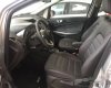 Ford EcoSport   2017 - Bán Ford EcoSport đời 2017, màu trắng