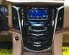 Cadillac Escalade Platinum 2017 - Cần bán Cadillac Escalade Platinum 2017, màu trắng, nhập Mỹ - LH Mr. Lộc 093.798.2266