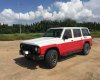 Nissan Patrol   1993 - Bán Nissan Patrol đời 1993, hai màu, giá chỉ 188 triệu